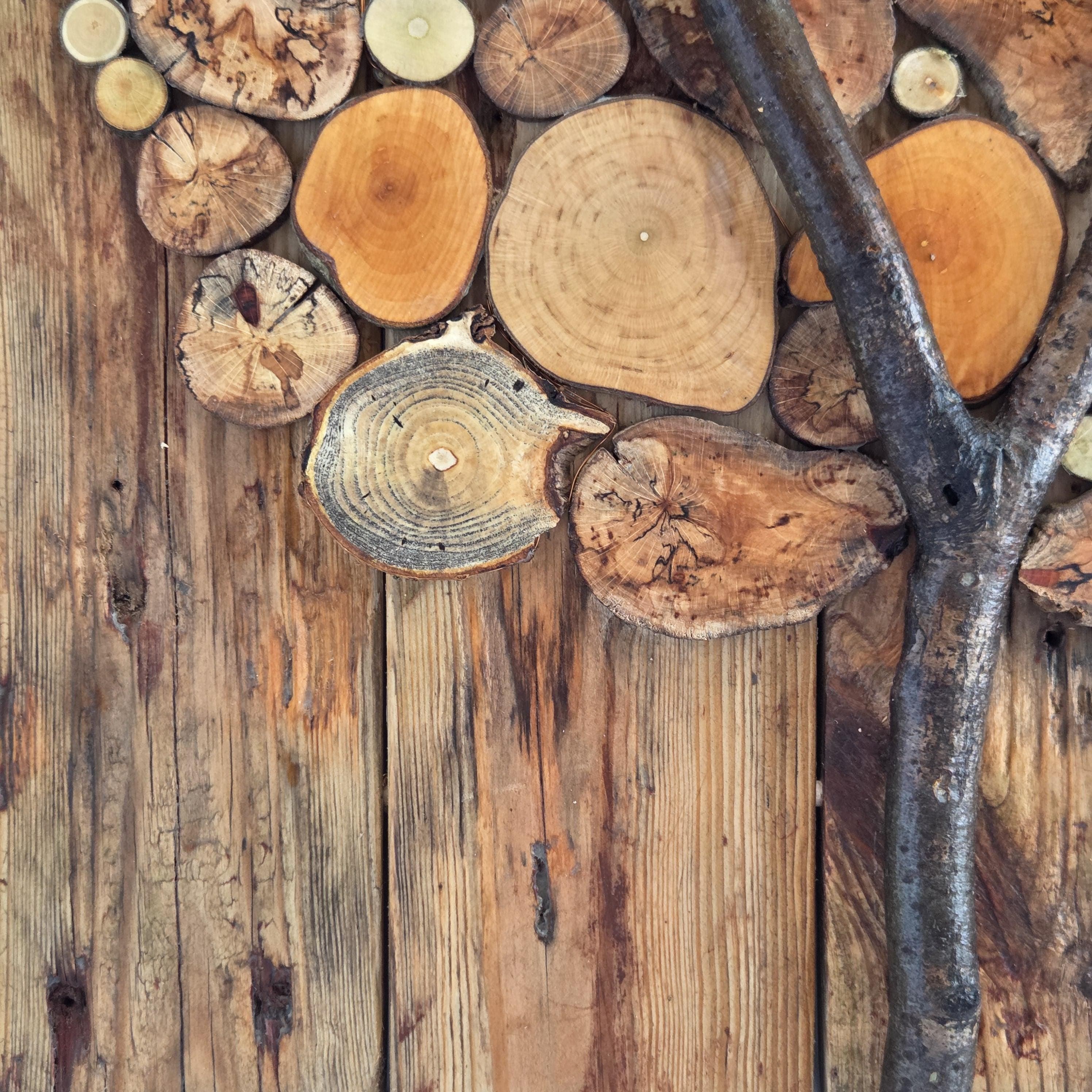 Rustic Wood Slice Wall Art, made in Wotton-under-Edge, Gloucestershire, by Bough & Burrow - View 6