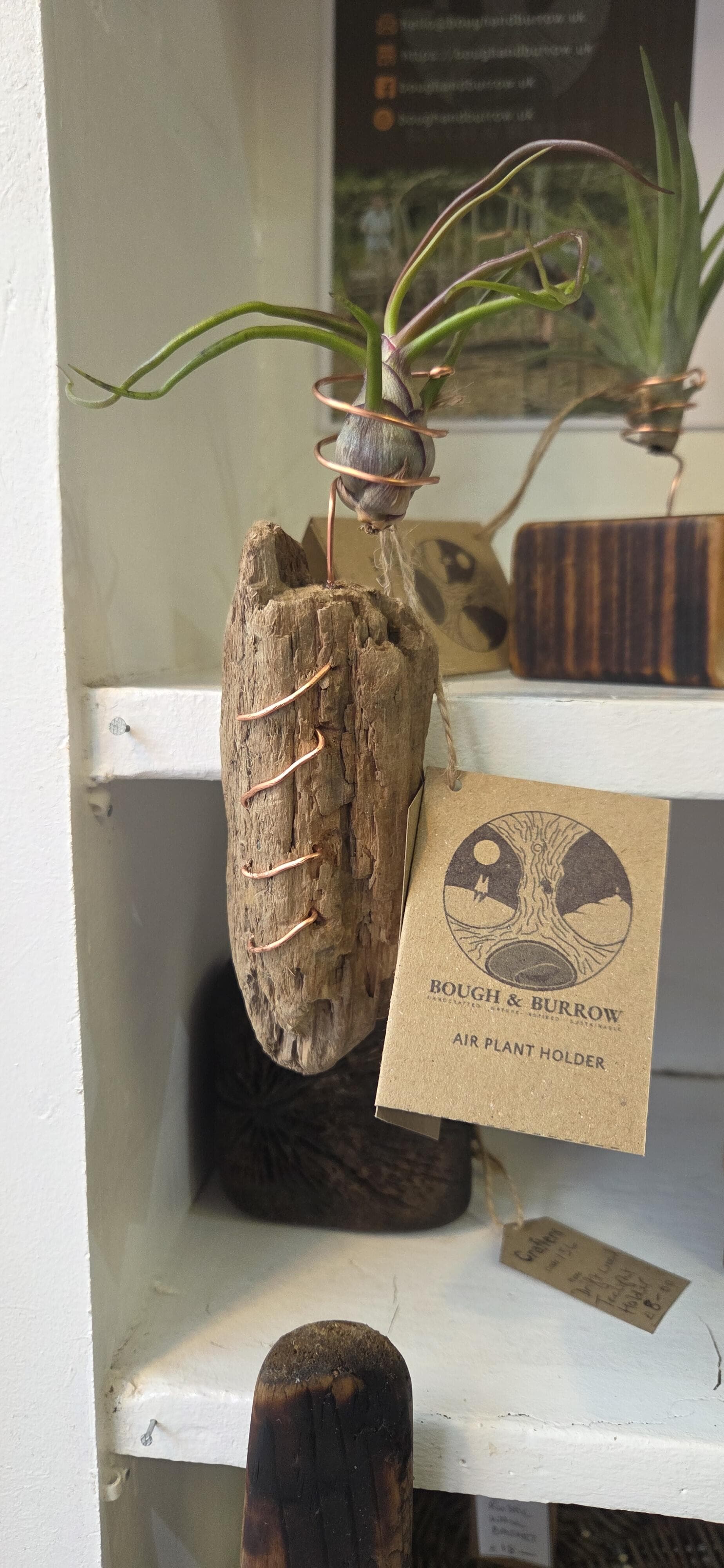 Driftwood Airplant Holder with Copper Wire, Driftwood, Copper, Copper Wire, made in Wotton-under-Edge, Gloucestershire, by Bough & Burrow