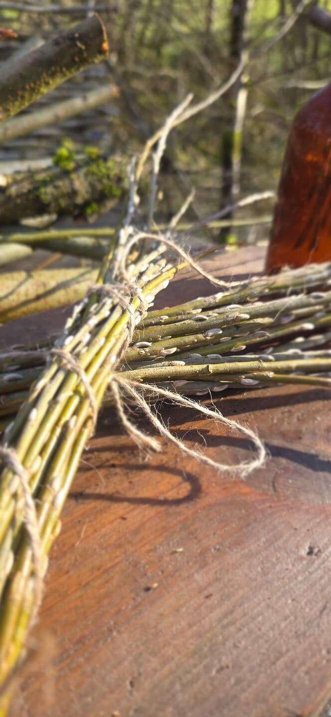 Willow Shoot Bundle with Silver Catkins, Willow, Willow, made in Wotton-under-Edge, Gloucestershire, by Bough & Burrow - Main image