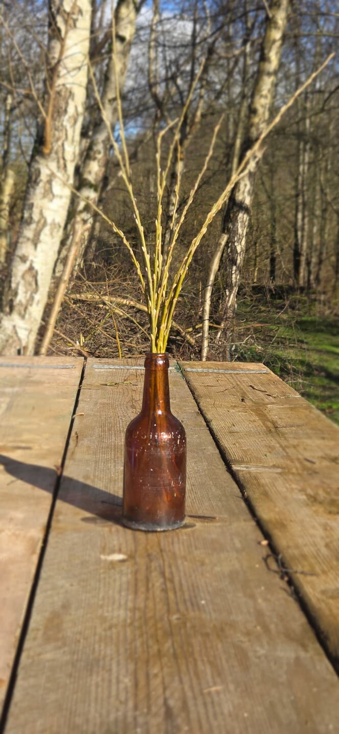 Willow Shoot Bundle with Silver Catkins, Willow, Willow, made in Wotton-under-Edge, Gloucestershire, by Bough & Burrow - View 2