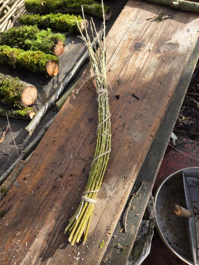 Willow Shoot Bundle with Silver Catkins, Willow, Willow, made in Wotton-under-Edge, Gloucestershire, by Bough & Burrow - View 6