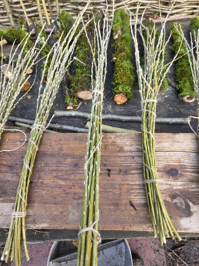 Willow Shoot Bundle with Silver Catkins, Willow, Willow, made in Wotton-under-Edge, Gloucestershire, by Bough & Burrow - View 3