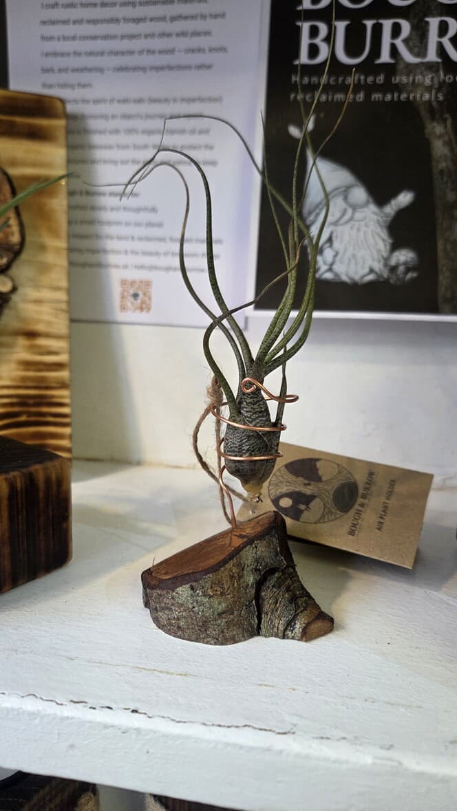 Hazel Wedge Air Plant Holder, Hazel, Copper Wire, made in Wotton-under-Edge, Gloucestershire, by Bough & Burrow