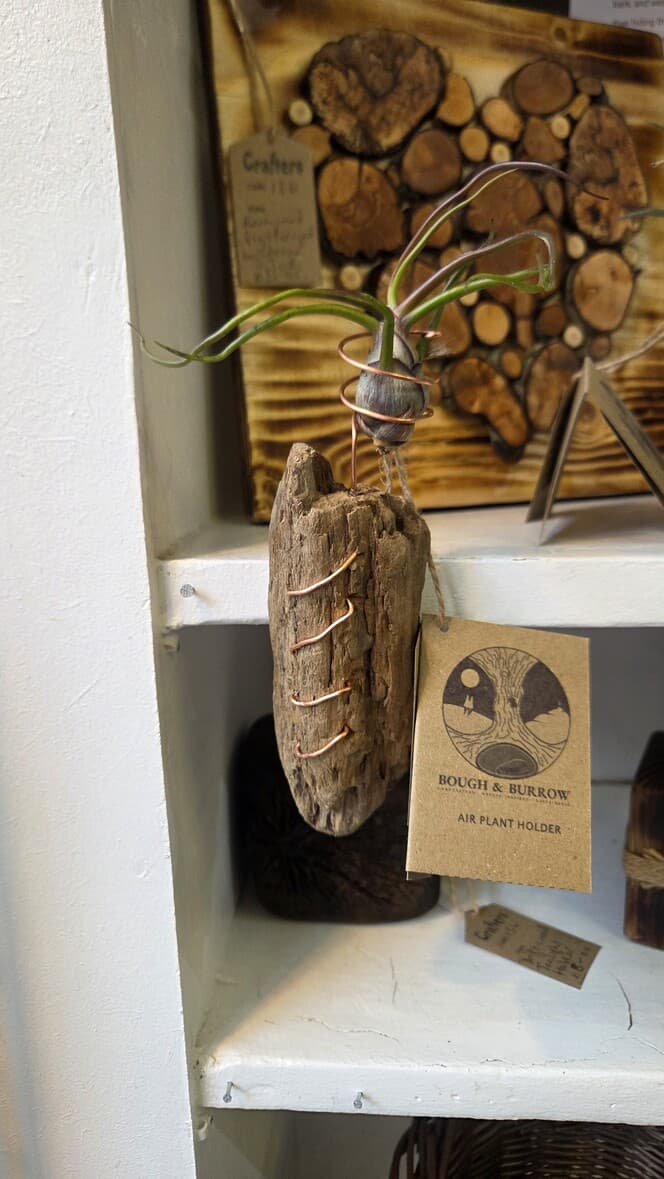 Driftwood Airplant Holder with Copper Wire, Driftwood, Copper, Copper Wire, made in Wotton-under-Edge, Gloucestershire, by Bough & Burrow - View 2