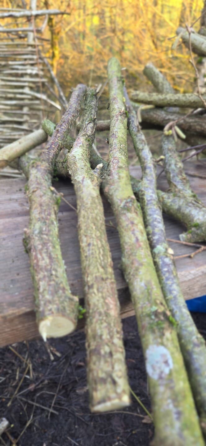 "Y" Shaped Stick Bundle: Mixed Species, Hazel, Willow, made in Wotton-under-Edge, Gloucestershire, by Bough & Burrow - View 2
