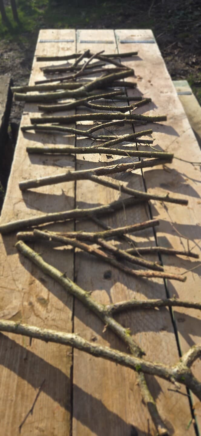 Native Species "Y" Shaped Stick Bundle, Willow, Hazel, made in Wotton-under-Edge, Gloucestershire, by Bough & Burrow - View 6