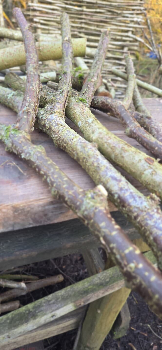 Native Species "Y" Shaped Stick Bundle, Willow, Hazel, made in Wotton-under-Edge, Gloucestershire, by Bough & Burrow - View 10