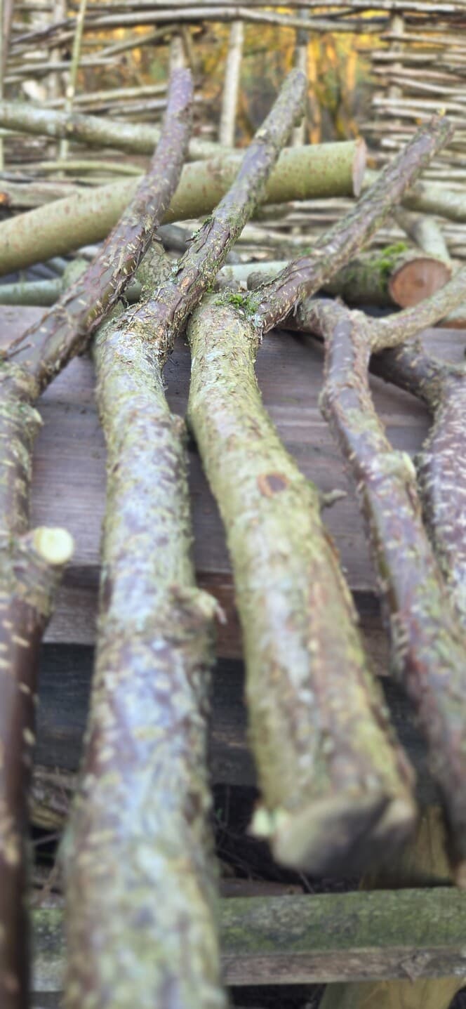 Native Species "Y" Shaped Stick Bundle, Willow, Hazel, made in Wotton-under-Edge, Gloucestershire, by Bough & Burrow - View 11