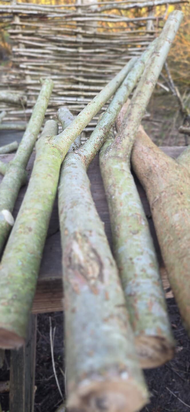 Native Species "Y" Shaped Stick Bundle, Willow, Hazel, made in Wotton-under-Edge, Gloucestershire, by Bough & Burrow - View 12