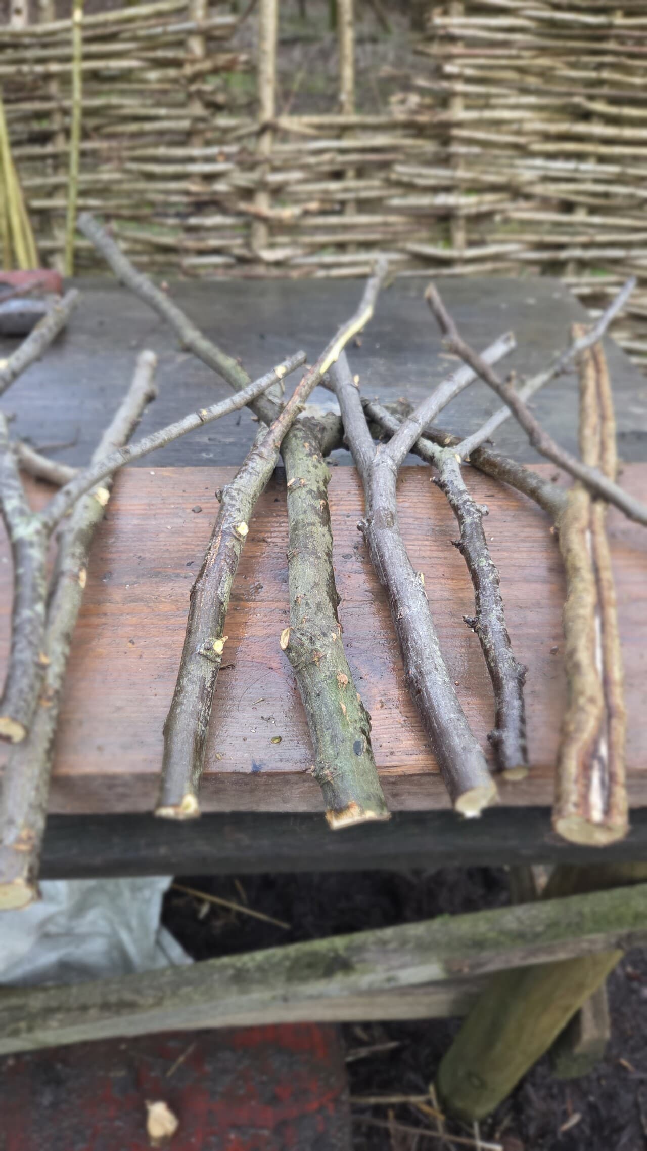 Native Species "Y" Shaped Stick Bundle, Willow, Hazel, made in Wotton-under-Edge, Gloucestershire, by Bough & Burrow - Main image