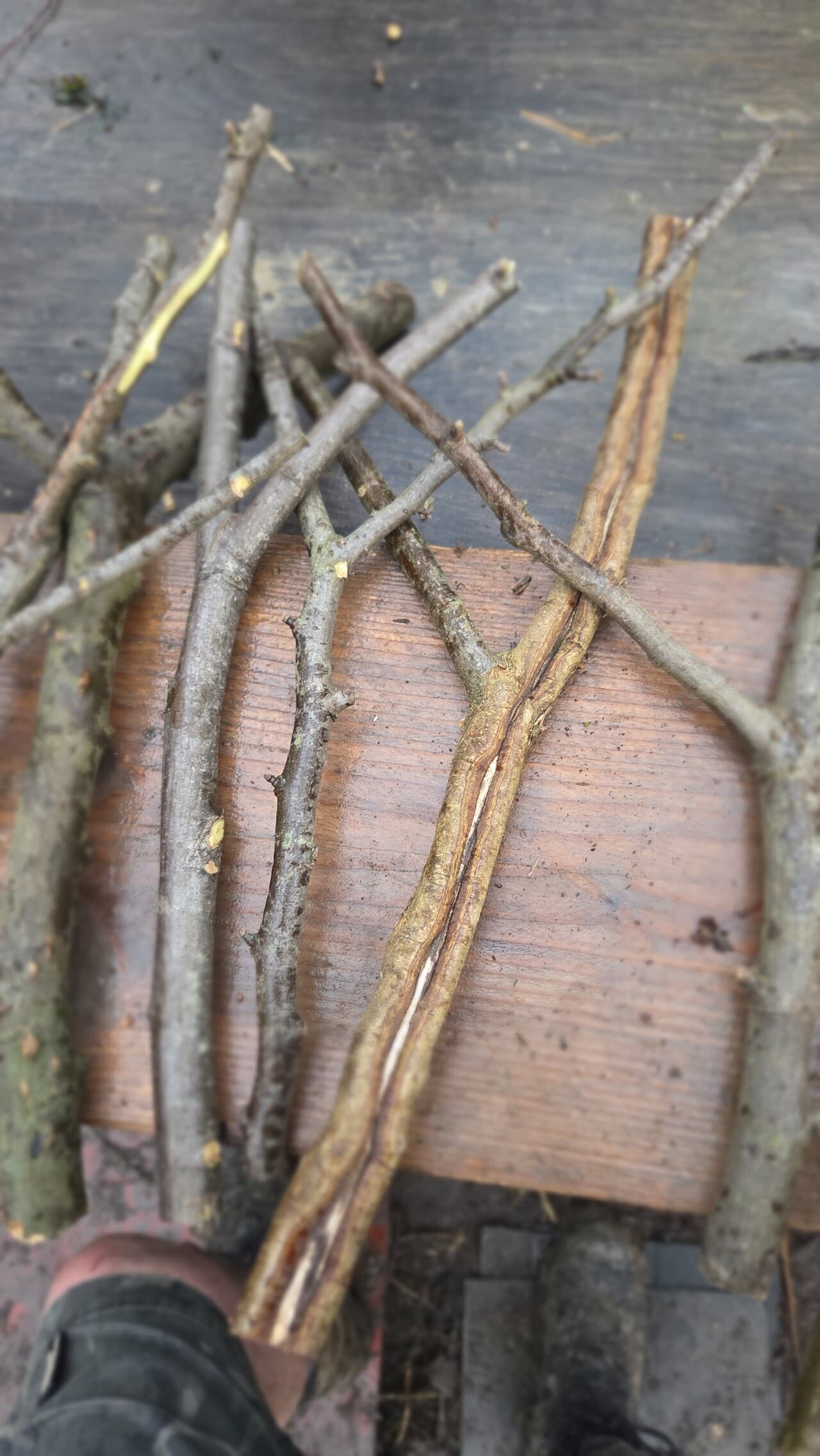 Native Species "Y" Shaped Stick Bundle, Willow, Hazel, made in Wotton-under-Edge, Gloucestershire, by Bough & Burrow - View 3