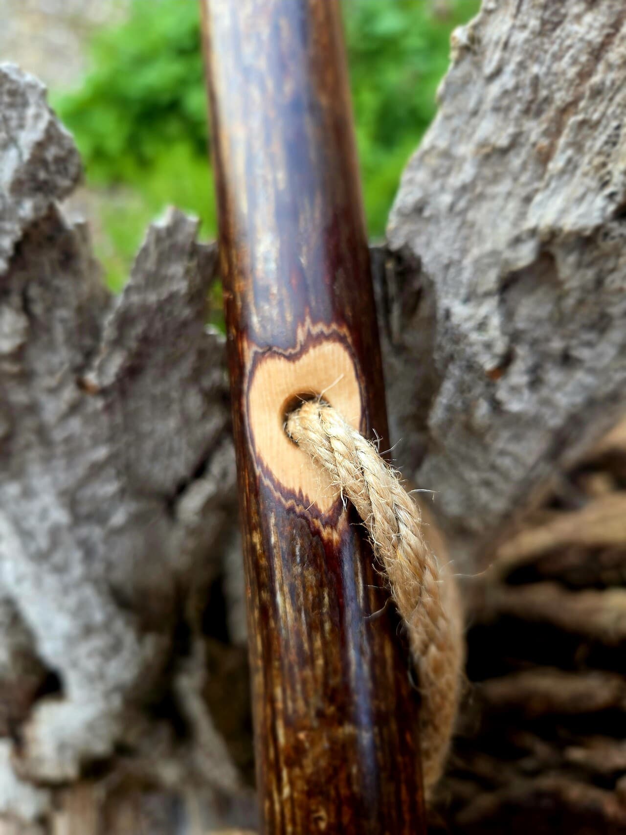 Scottish Hazel Hiking Stick with Heart Detailing | HS-006, Hazel, Hazel, made in Wotton-under-Edge, Gloucestershire, by Bough & Burrow - View 8