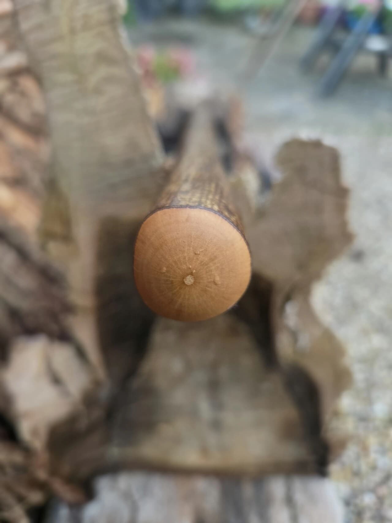 Scottish Hazel Hiking Stick with Heart Detailing | HS-006, Hazel, Hazel, made in Wotton-under-Edge, Gloucestershire, by Bough & Burrow - View 9