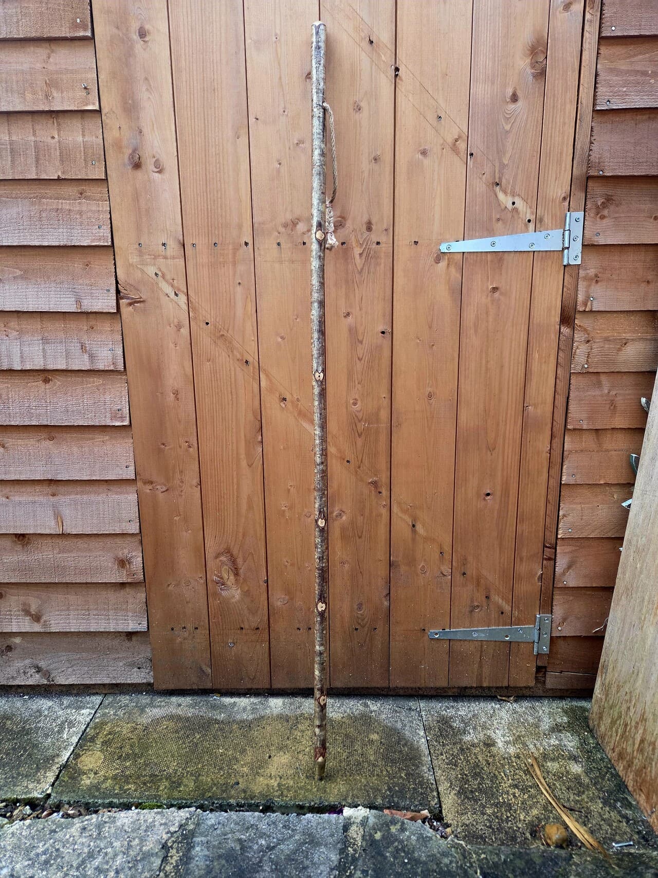 Slender Hazel Hiking Stick | HS-004, Hazel, made in Wotton-under-Edge, Gloucestershire, by Bough & Burrow