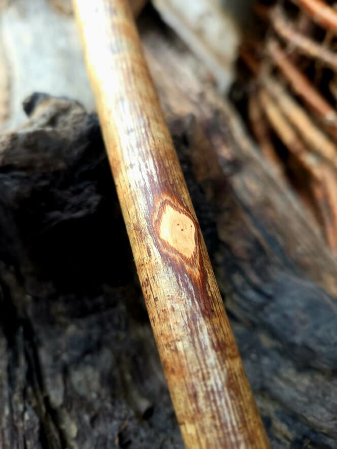 Slender Hazel Hiking Stick | HS-004, Hazel, made in Wotton-under-Edge, Gloucestershire, by Bough & Burrow - View 9