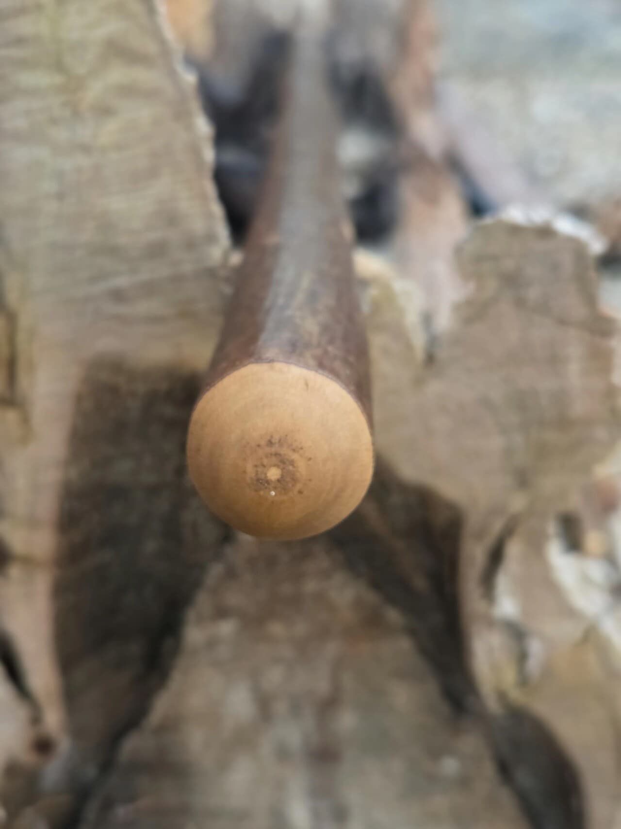 Hazel Hiking Stick with Fuchsite Mica Detailing | HS-007, Hazel, made in Wotton-under-Edge, Gloucestershire, by Bough & Burrow - View 2