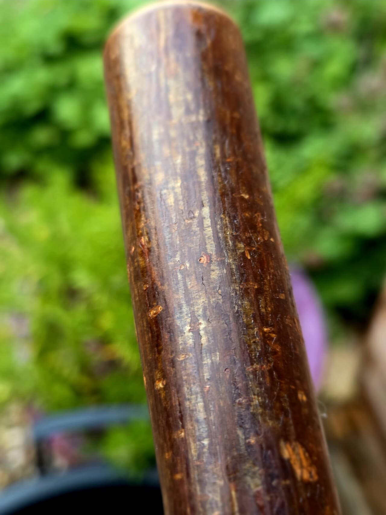 Hazel Hiking Stick with Fuchsite Mica Detailing | HS-007, Hazel, made in Wotton-under-Edge, Gloucestershire, by Bough & Burrow - View 12