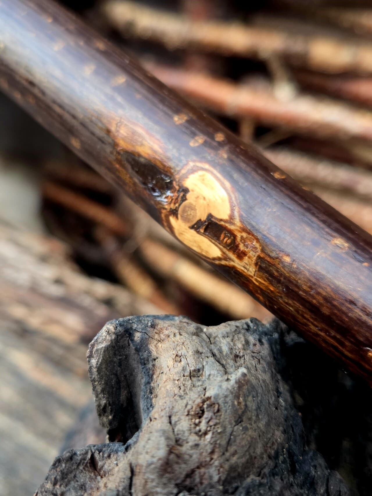 Hazel Hiking Stick with Fuchsite Mica Detailing | HS-007, Hazel, made in Wotton-under-Edge, Gloucestershire, by Bough & Burrow - View 11