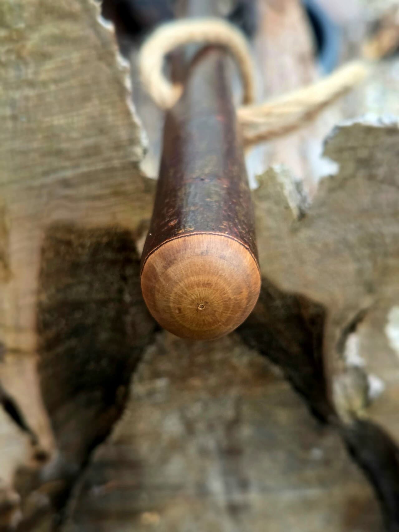 Hiking Stick with Fuchsite Mica Filled Knot | HS-008, Hazel, made in Wotton-under-Edge, Gloucestershire, by Bough & Burrow - View 2
