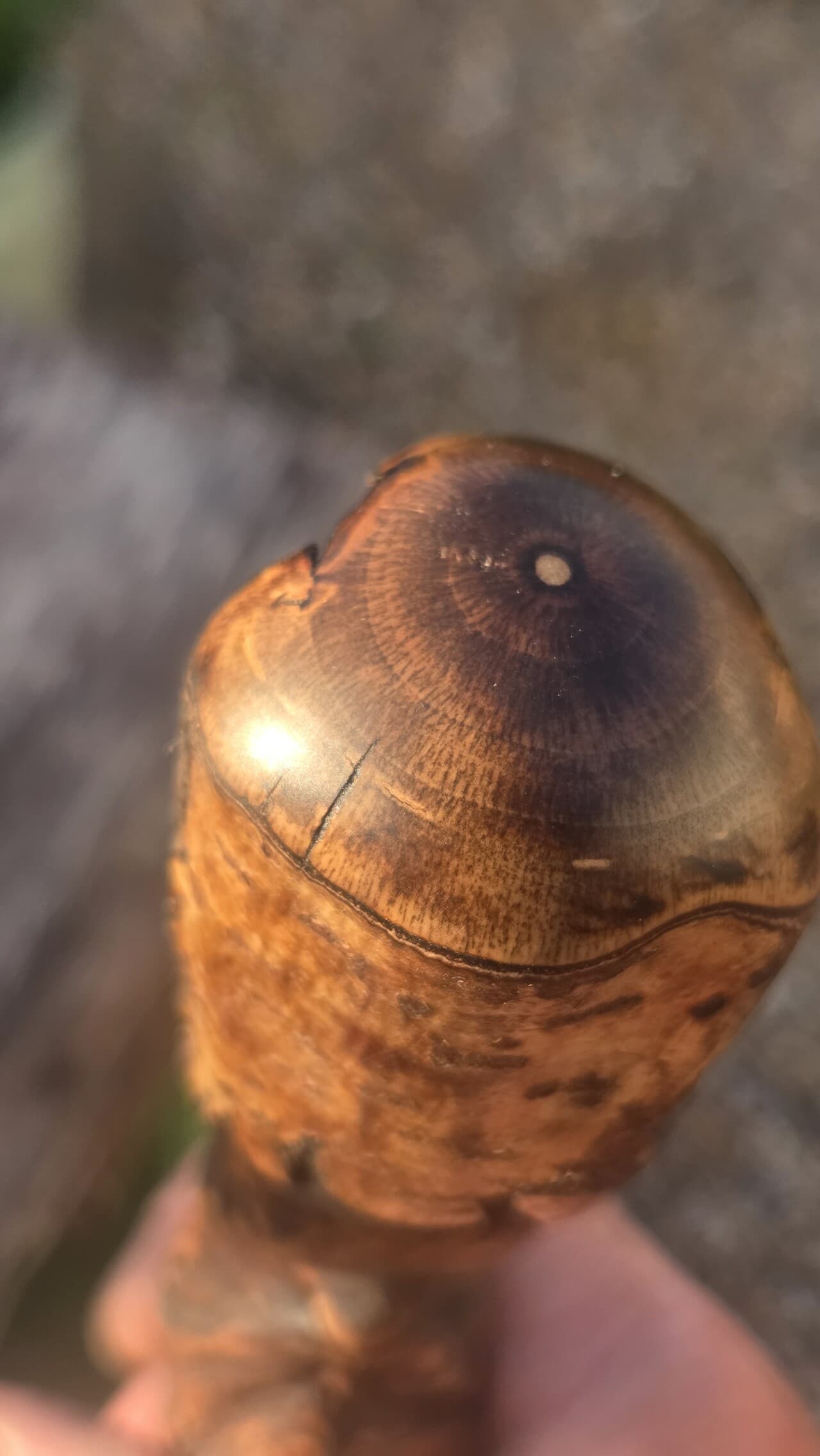 Hazel Hiking Stick with Wood Spirit | HS-010, Hazel, made in Wotton-under-Edge, Gloucestershire, by Bough & Burrow - View 5