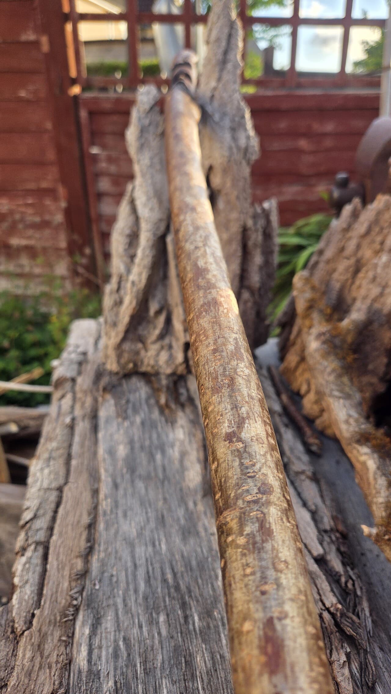 Hazel Hiking Stick with Wood Spirit | HS-010, Hazel, made in Wotton-under-Edge, Gloucestershire, by Bough & Burrow - View 7