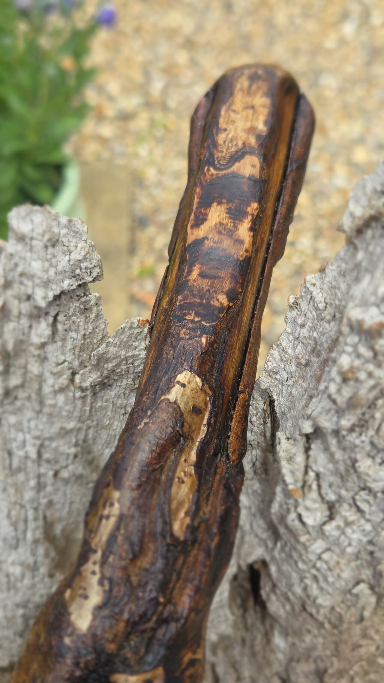 Hazel Hiking Stick with Wood Spirit | HS-010, Hazel, made in Wotton-under-Edge, Gloucestershire, by Bough & Burrow - View 12
