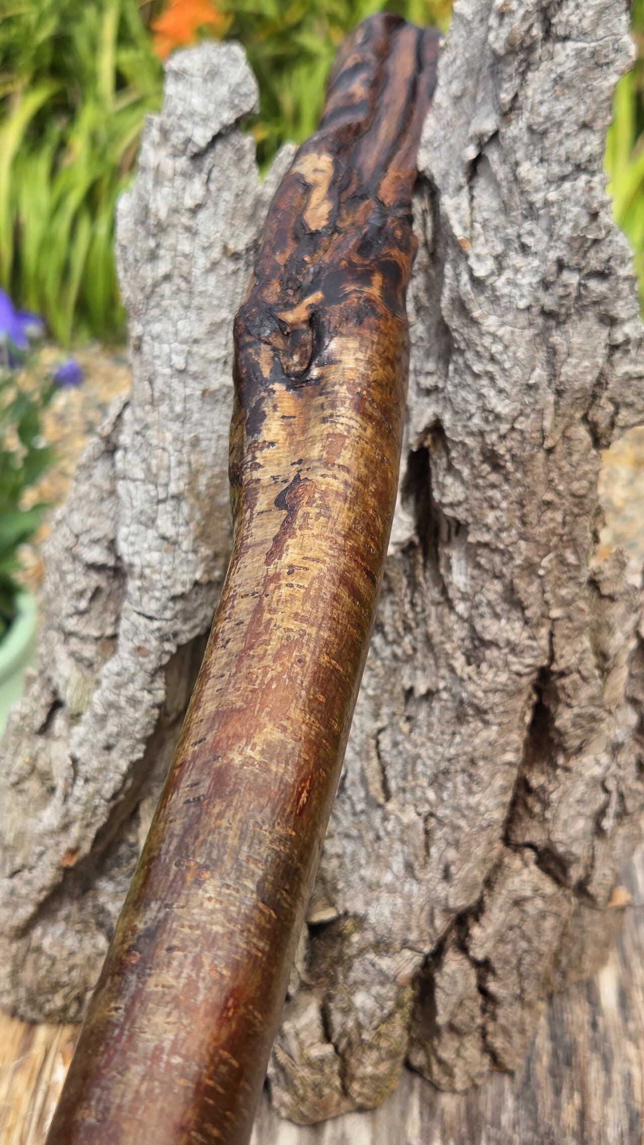 Hazel Hiking Stick with Wood Spirit | HS-010, Hazel, made in Wotton-under-Edge, Gloucestershire, by Bough & Burrow - View 13