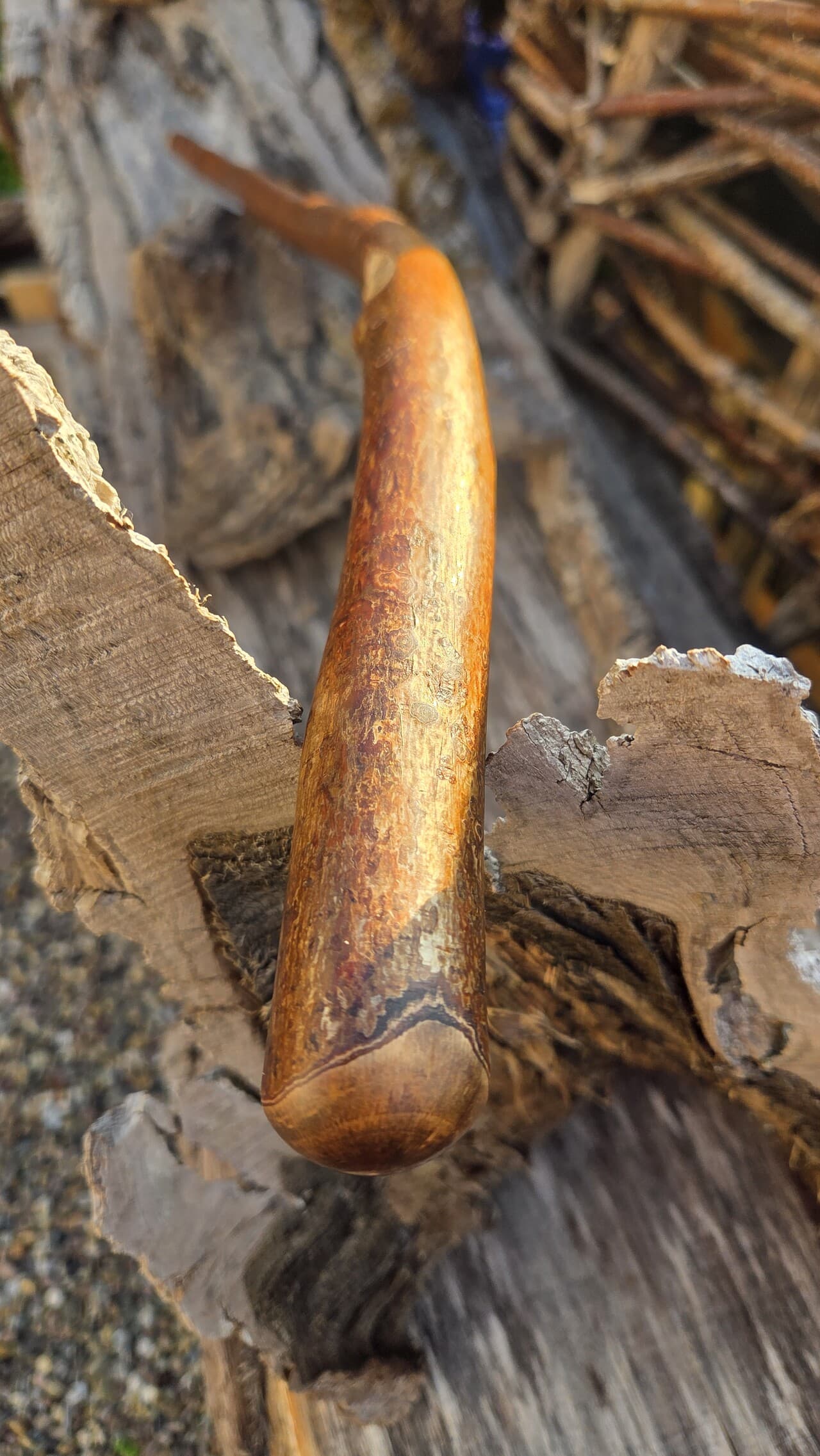 Hazel Walking Stick with Red Ochre | WS-001, Hazel, made in Wotton-under-Edge, Gloucestershire, by Bough & Burrow - View 4