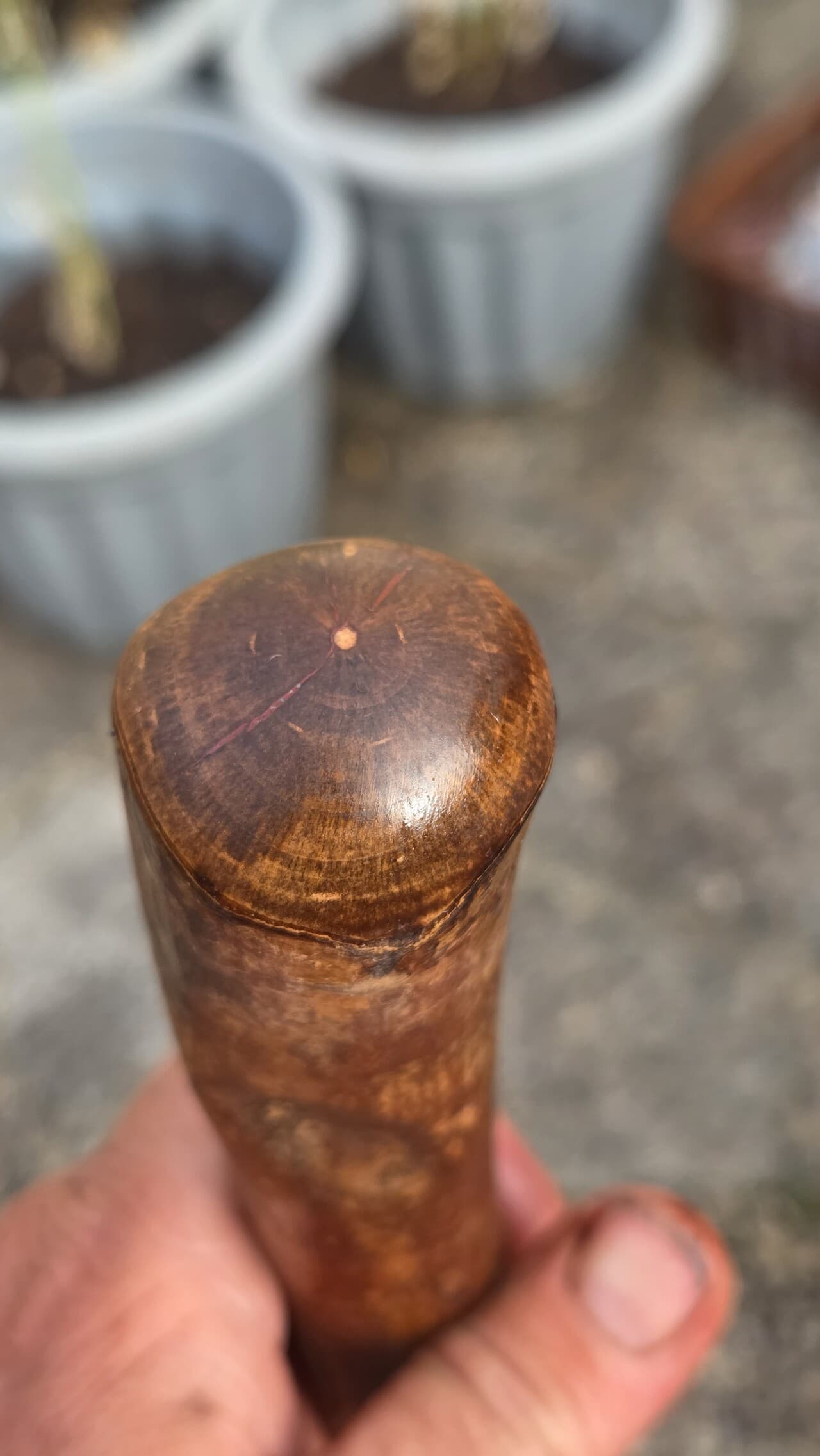 Hazel Walking Stick with Red Ochre | WS-001, Hazel, made in Wotton-under-Edge, Gloucestershire, by Bough & Burrow - View 5