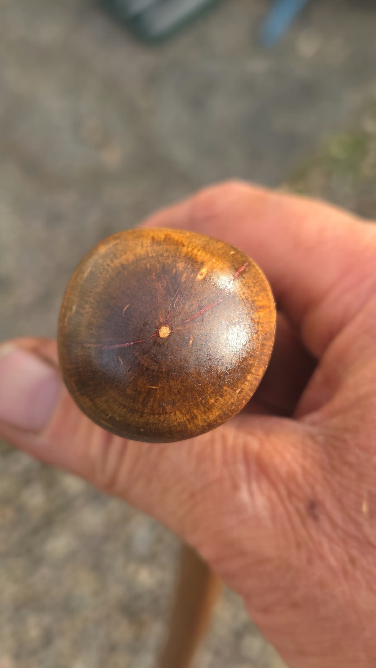 Hazel Walking Stick with Red Ochre | WS-001, Hazel, made in Wotton-under-Edge, Gloucestershire, by Bough & Burrow - View 7