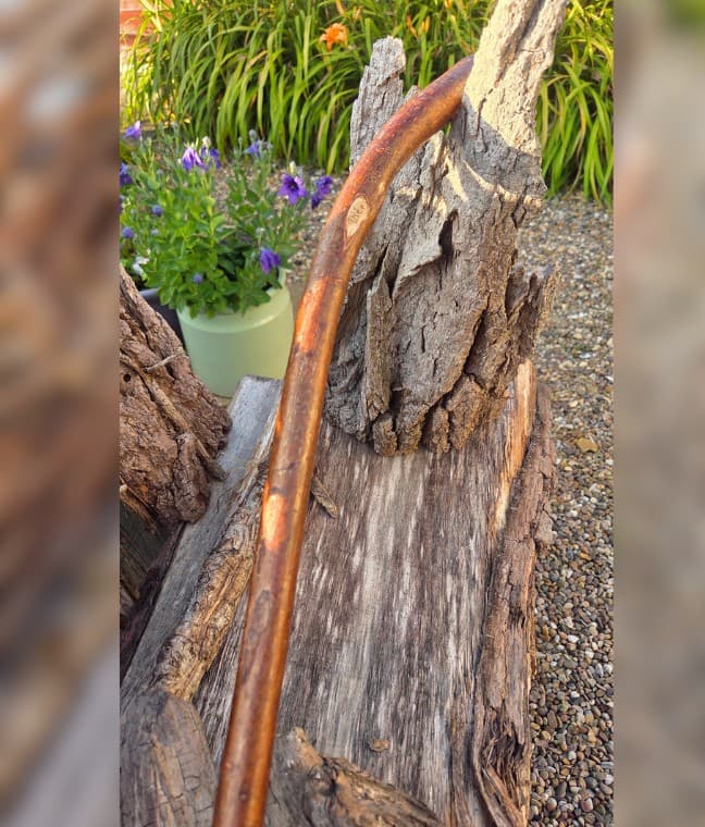 Hazel Walking Stick with Red Ochre | WS-001, Hazel, made in Wotton-under-Edge, Gloucestershire, by Bough & Burrow - View 2