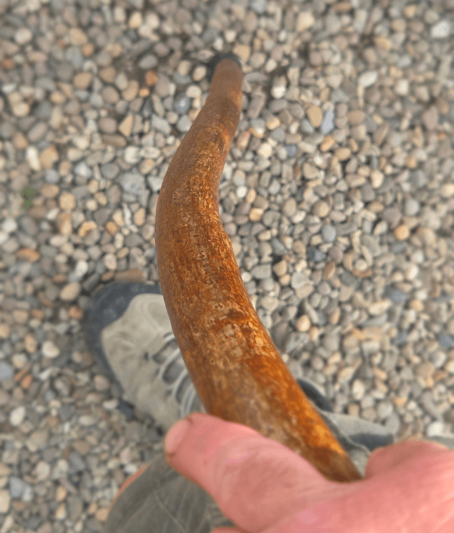 Hazel Walking Stick with Red Ochre | WS-001, Hazel, made in Wotton-under-Edge, Gloucestershire, by Bough & Burrow - View 16